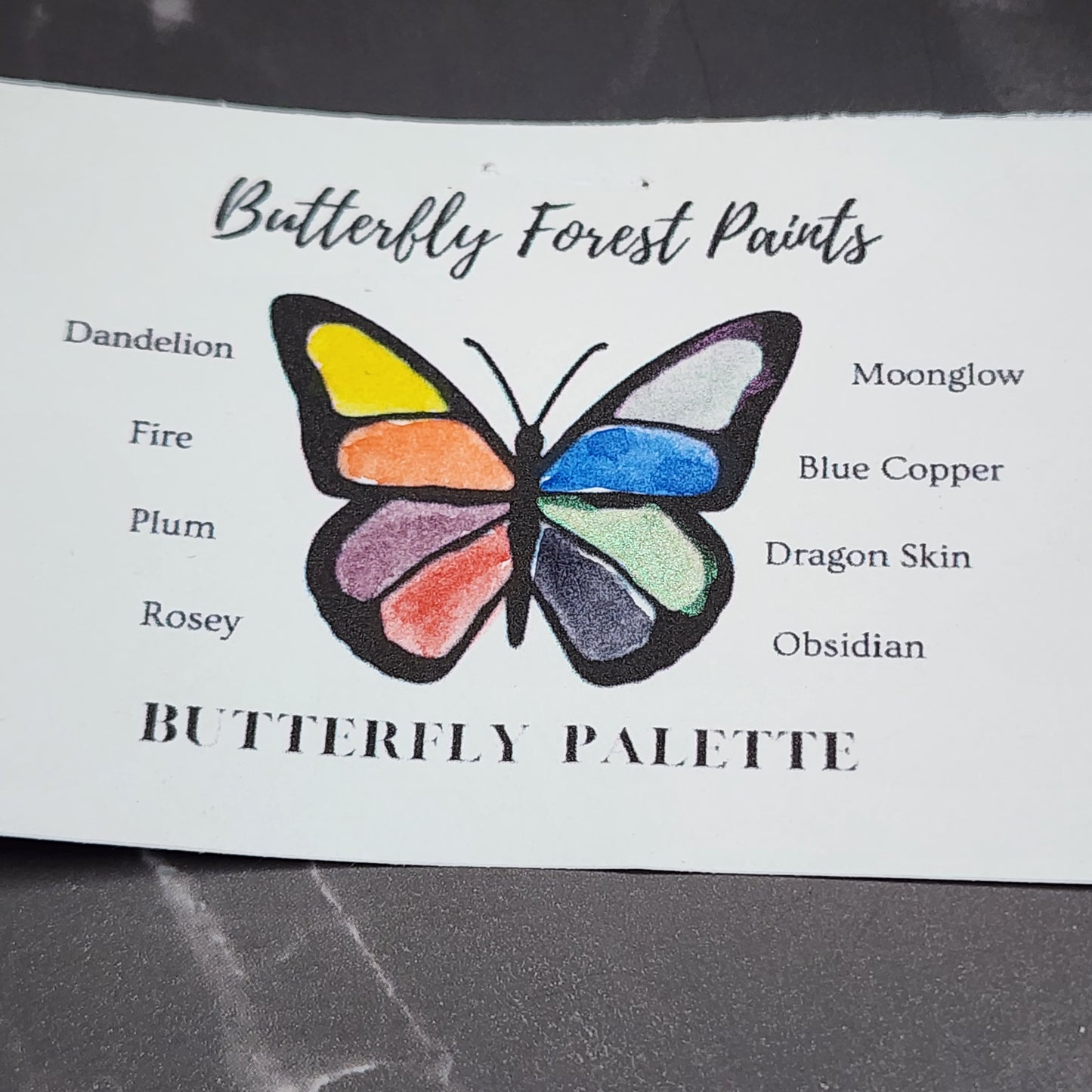 Butterfly Paint Palette Set