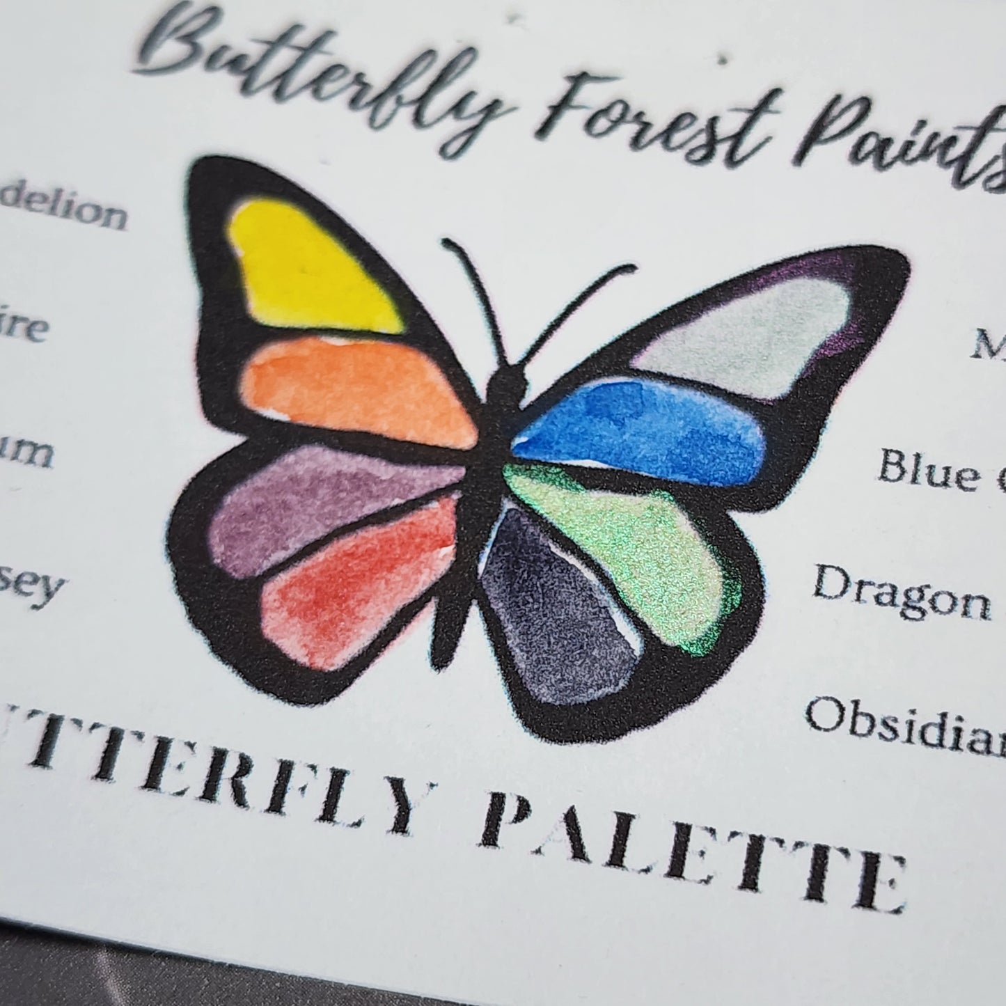 Butterfly Paint Palette Set